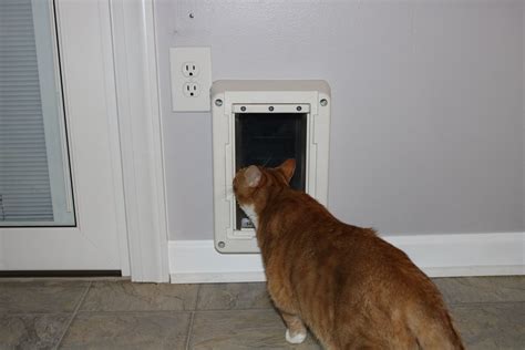 The Benefits of Installing a Cat Door in Your Home Interior